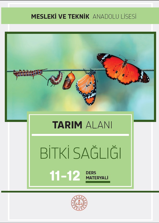 Tarım