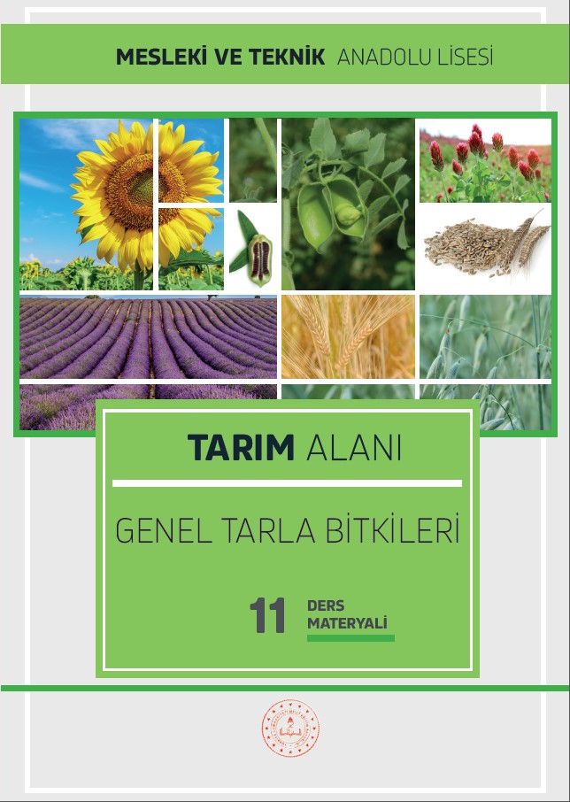 Tarım